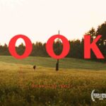 Seed & Spark vs Indiegogo: Which Wins for Your Film Fund? – Film Daily