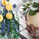 68 Small Amazon Upgrades That Make Home And Daily Routines Run Better