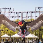 Echoes of Earth Turns 10: Celebrating a Decade of Music, Art, Nature, Culture & Shared Experiences