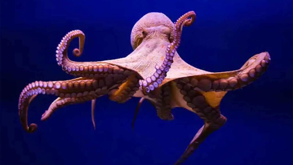 15 Wild and Random Facts It’s Hard to Believe Are True