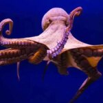 15 Wild and Random Facts It’s Hard to Believe Are True