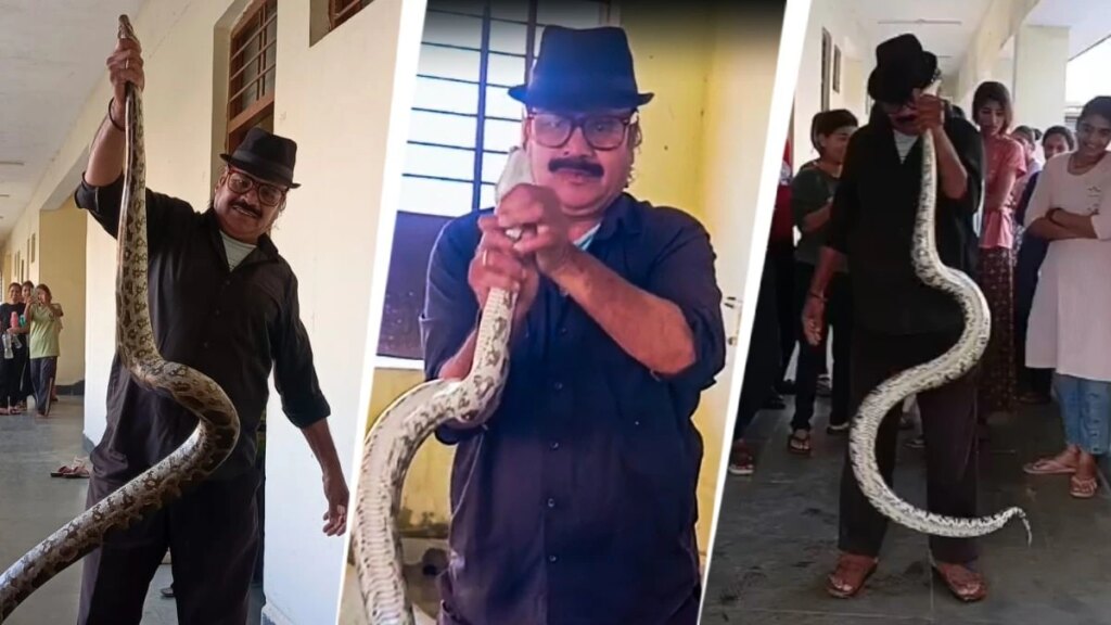 लड़की ने बाथरूम का दरवाजा खोला तो सामने था 10 फीट का अजगर, गर्ल्स हॉस्टल में मचा हड़कंप – 10 feet python rescued from girls hostel bathroom in sagar madhya pradesh lclar