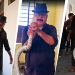 लड़की ने बाथरूम का दरवाजा खोला तो सामने था 10 फीट का अजगर, गर्ल्स हॉस्टल में मचा हड़कंप – 10 feet python rescued from girls hostel bathroom in sagar madhya pradesh lclar