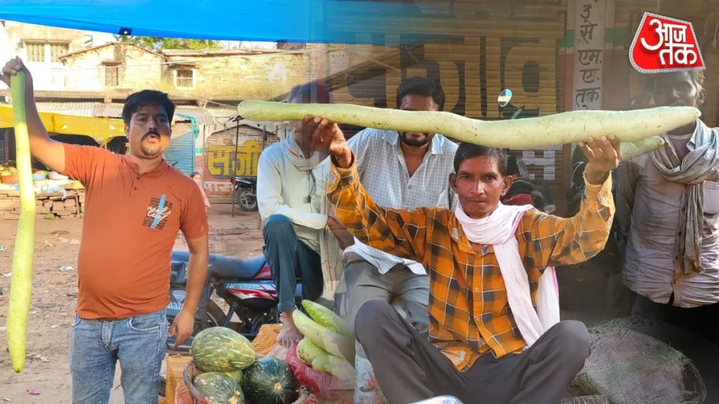 सब्जी मंडी में आई 4 फीट लंबी लौकी, देखने उमड़ी भीड़, लोगों ने साथ में ली सेल्फी, Video – four feet long bottle gourd becomes attraction in dholpur sarmathura vegetable market LCLAR