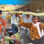 सब्जी मंडी में आई 4 फीट लंबी लौकी, देखने उमड़ी भीड़, लोगों ने साथ में ली सेल्फी, Video – four feet long bottle gourd becomes attraction in dholpur sarmathura vegetable market LCLAR