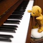 “It’s a well-known fact that all animals react to music, especially gentle melodic music”: If you go down to the woods today… you might hear a prog legend playing a piano recital in a bear sanctuary