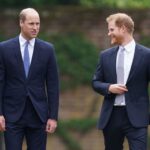 Prince William and Prince Harry Had the Chance to Be a “Very, Very Powerful” Team