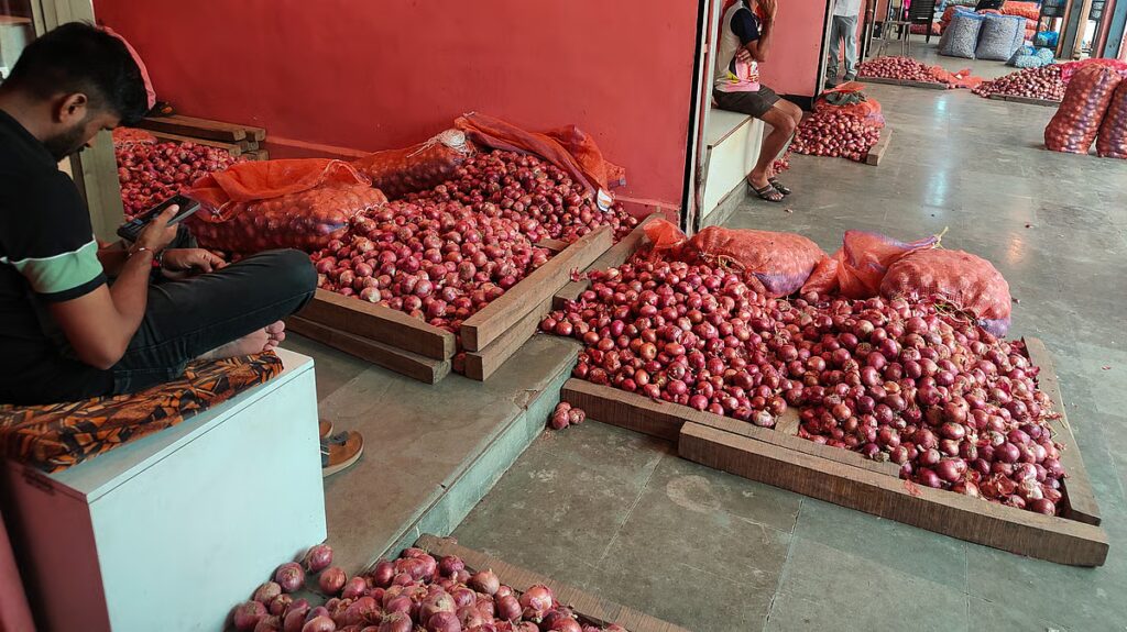 Egyptian Onions Enter Navi Mumbai’s Vashi APMC At ₹38-₹40 Per Kg, Hotels Buy Cheaper Imports As Households Stay Away
