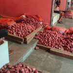 Egyptian Onions Enter Navi Mumbai’s Vashi APMC At ₹38-₹40 Per Kg, Hotels Buy Cheaper Imports As Households Stay Away