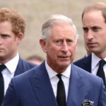 How King Charles III Plans to Bring Prince Harry and Prince William Back Together