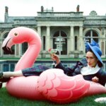 Lady (Film Review) – Bizarre and Eccentric