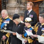 King Charles & Prince Harry have not met in person since the Sussexes’ UK return