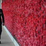 Prince Harry won’t ‘pull focus’ from the Windsors during Remembrance events