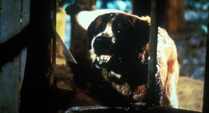 Cujo (4K Review) — Visceral Stephen King Adaptation