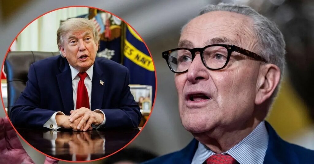 'Take Back the Senate:' Democrats Tease Plan of Fighting Back Against Trump If They Win the Midterms