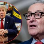 'Take Back the Senate:' Democrats Tease Plan of Fighting Back Against Trump If They Win the Midterms