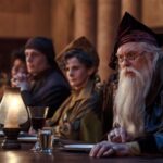 Harry Potter Gets Honest Review From HBO Boss: ‘I’m Very Happy’