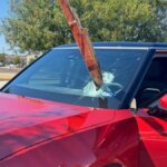 15 Photos Where Someone is in a Bit of a Predicament