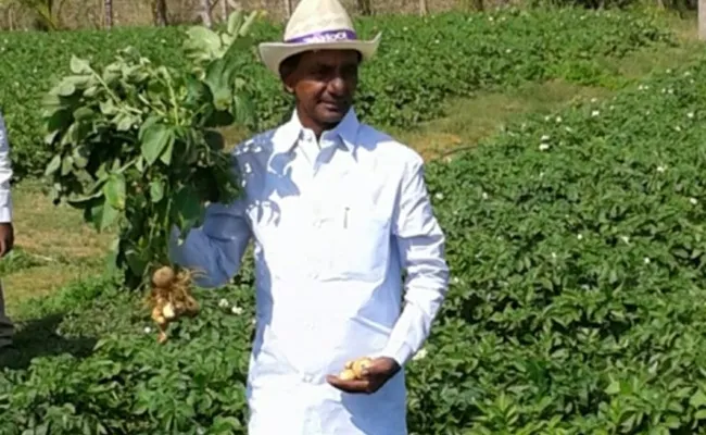 Is the ‘Missing 45 Acres’ Part of KCR’s Farmhouse?