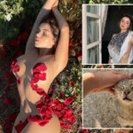 Instagram model Demi Rose Mawby vanished and became a cat lady after tragedy hit
