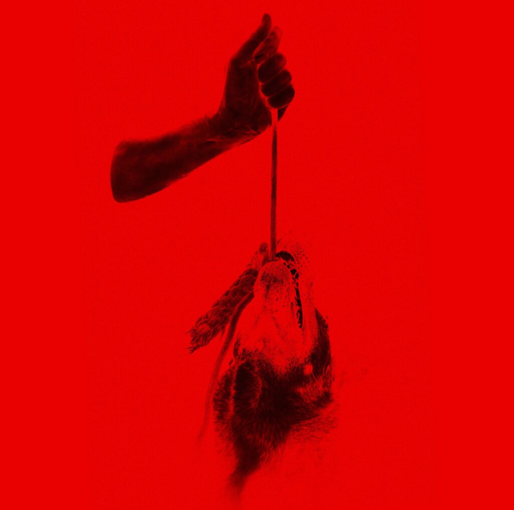 Bucket Share New Single “Strung Out”: Listen