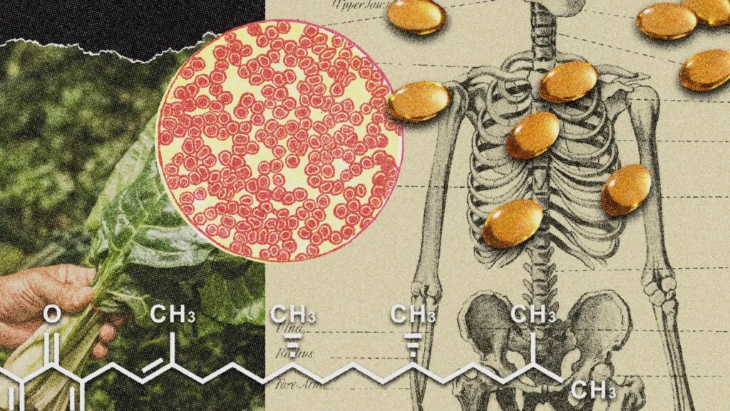 Vitamin K Could Be the Secret to a Stronger Body