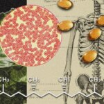 Vitamin K Could Be the Secret to a Stronger Body