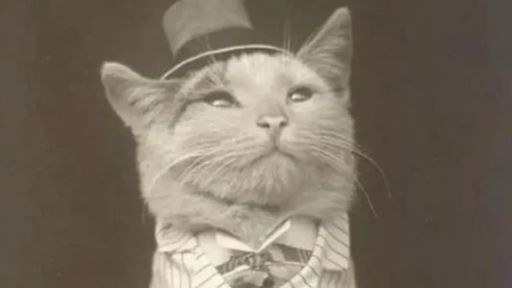 15 Photos Showing That People Have Always Loved Making Their Pets Look Ridiculous