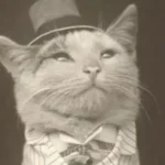 15 Photos Showing That People Have Always Loved Making Their Pets Look Ridiculous